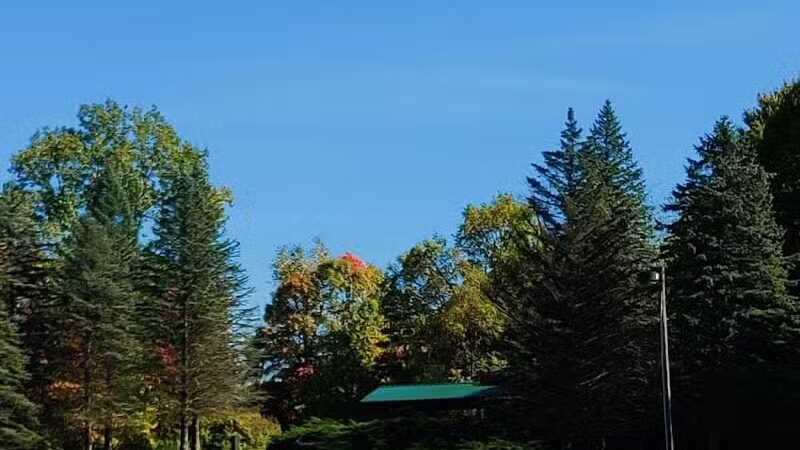 Burchfield Park - Holt,