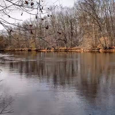 Burchfield Park - Holt,