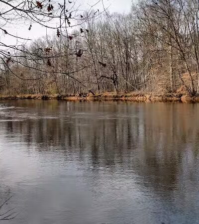 Burchfield Park - Holt,