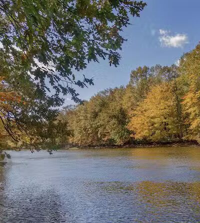 Burchfield Park - Holt,