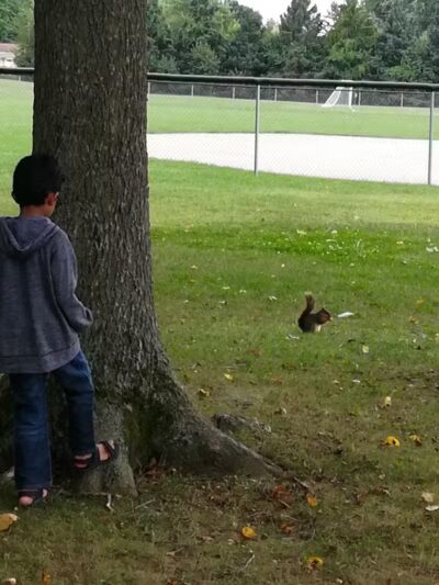 Kiwanis Park - Holt,