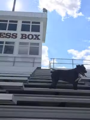 Kiwanis Park - Holt,