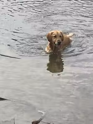 Valhalla Park - Holt,