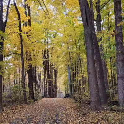 Valhalla Park - Holt,