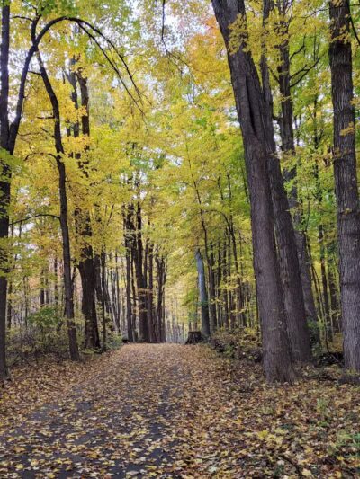 Valhalla Park - Holt,