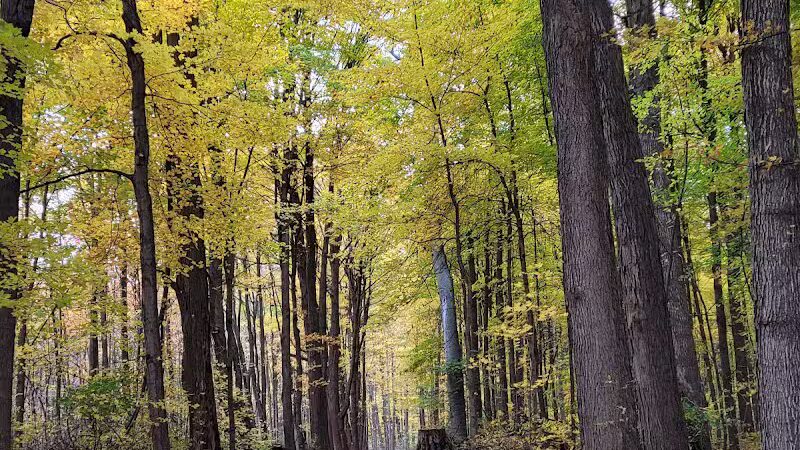 Valhalla Park - Holt,