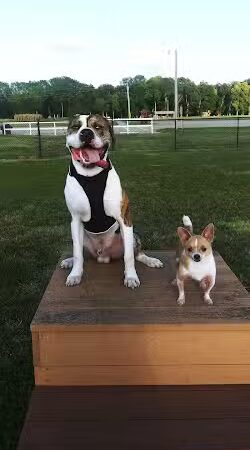 Dogwood Park - Holton, KS