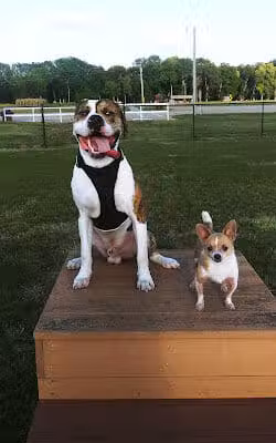 Dogwood Park - Holton,