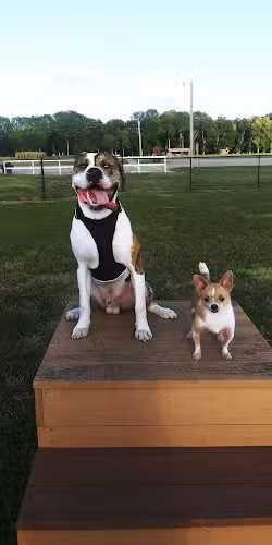 Dogwood Park - Holton,