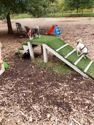 Holyoke Dog Park - Holyoke, MA
