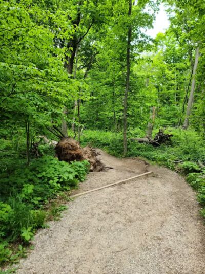 Empire Bluff Scenic Lookout - Honor,