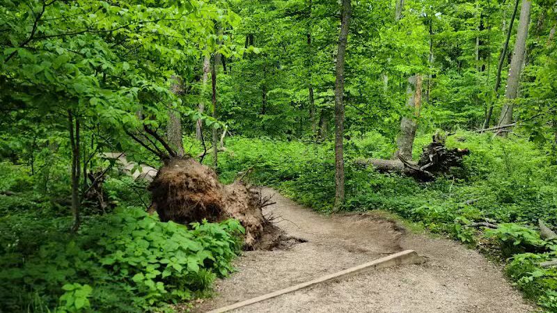Empire Bluff Scenic Lookout - Honor,