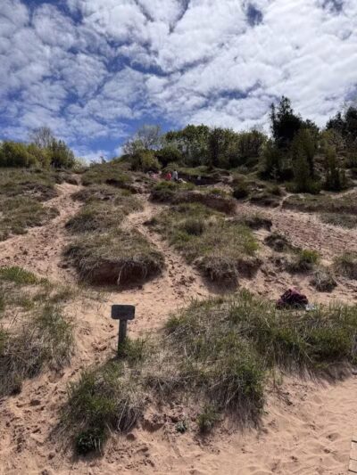 Empire Bluff Scenic Lookout - Honor,