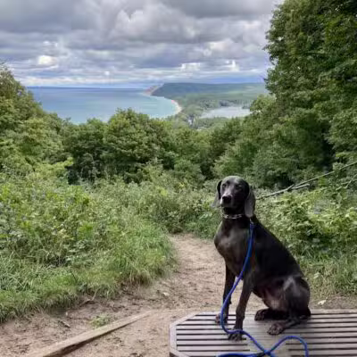 Empire Bluff Scenic Lookout - Honor,