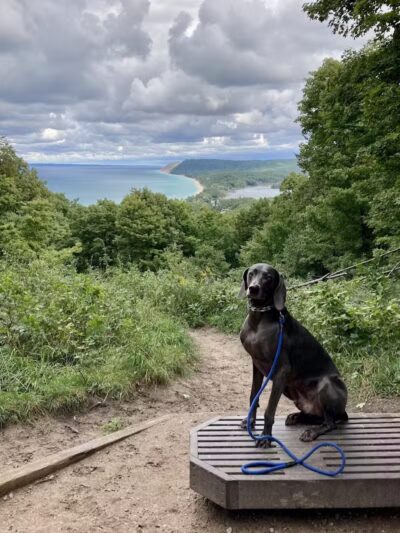Empire Bluff Scenic Lookout - Honor,