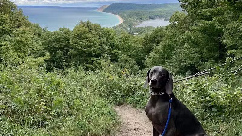 Empire Bluff Scenic Lookout - Honor,