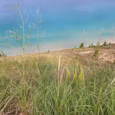 Empire Bluff Scenic Lookout - Honor,