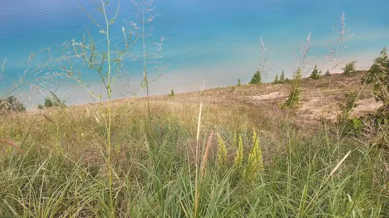 Empire Bluff Scenic Lookout - Honor,