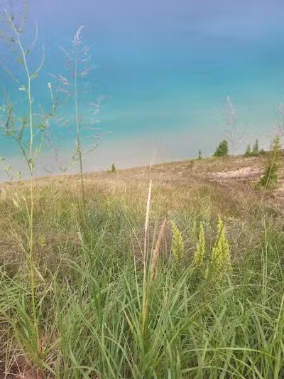 Empire Bluff Scenic Lookout - Honor,