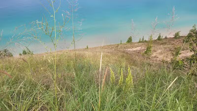 Empire Bluff Scenic Lookout - Honor,