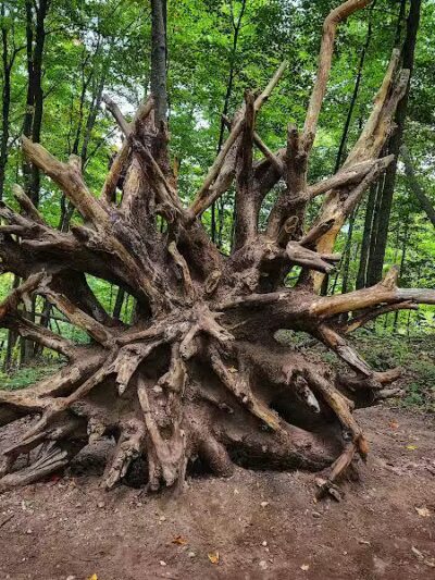 Empire Bluff Scenic Lookout - Honor,