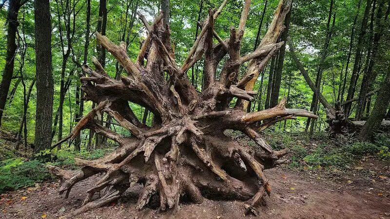 Empire Bluff Scenic Lookout - Honor,