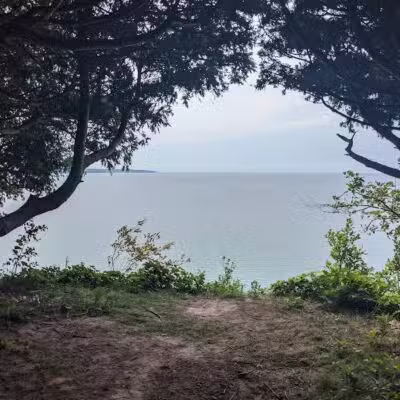 Empire Bluff Scenic Lookout - Honor,