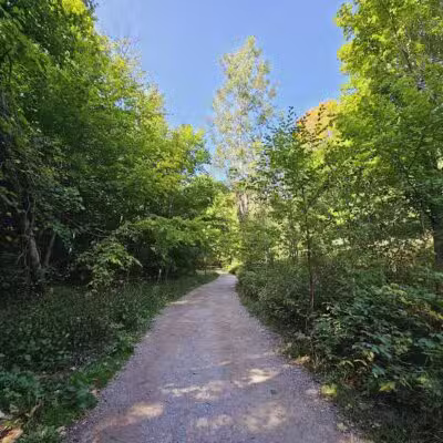 Empire Bluff Trail - Honor,