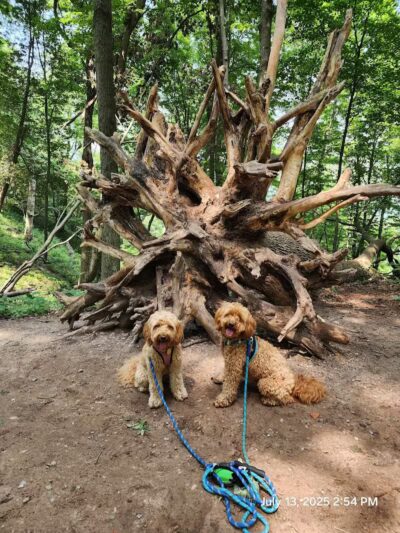 Empire Bluff Trail - Honor,