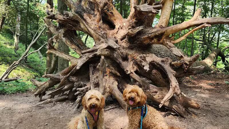 Empire Bluff Trail - Honor,