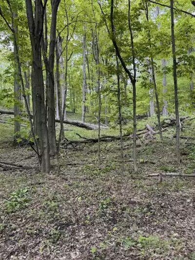 Empire Bluff Trail - Honor,