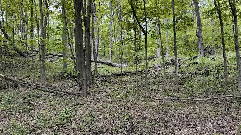 Empire Bluff Trail - Honor,