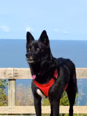Empire Bluff Trail - Honor,