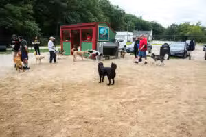 Hooksett Dog Park - Hooksett, NH