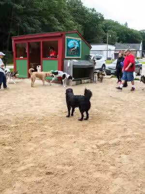 Hooksett Dog Park - Hooksett, NH