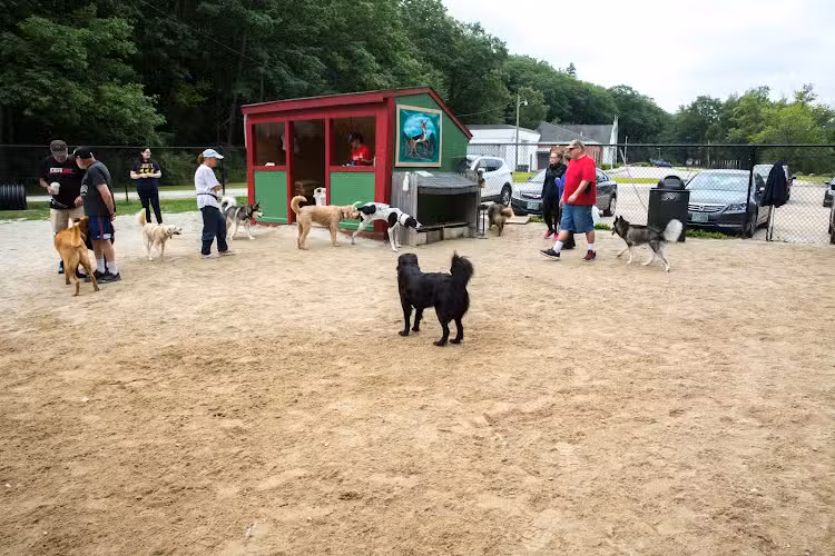 Hooksett Dog Park - Hooksett, NH