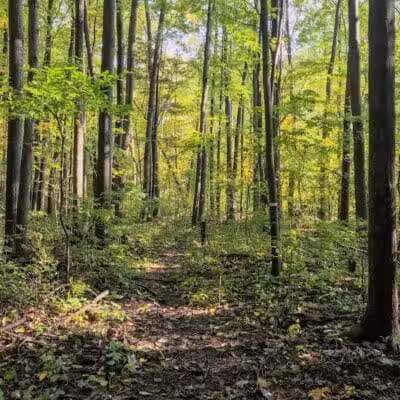 Woodside Park, Hope Township - Hope, MI