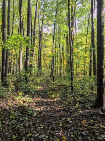 Woodside Park, Hope Township - Hope, MI