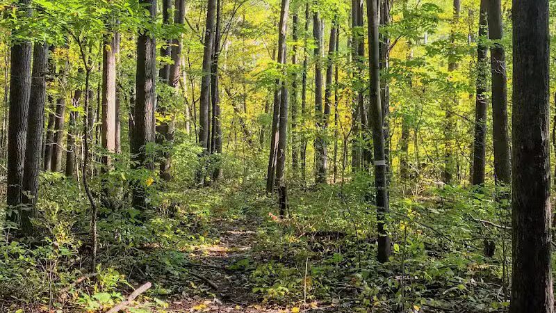 Woodside Park, Hope Township - Hope, MI