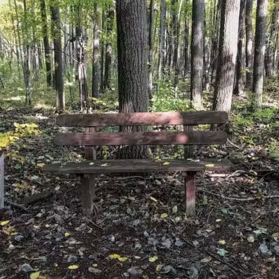 Woodside Park, Hope Township - Hope, MI
