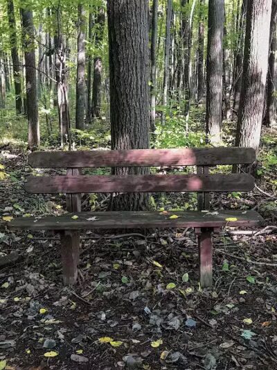 Woodside Park, Hope Township - Hope, MI