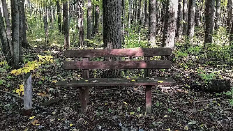 Woodside Park, Hope Township - Hope, MI