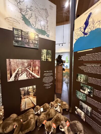 Boardwalk Loop Trail - Hopkins, SC