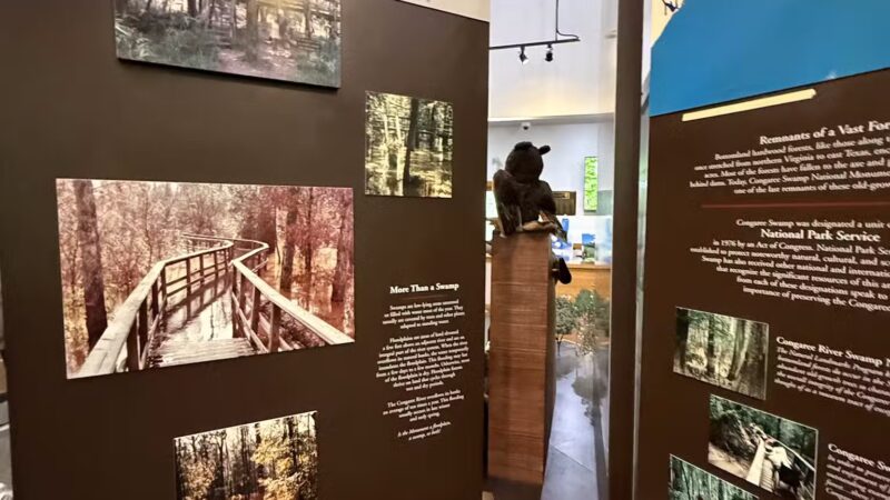 Boardwalk Loop Trail - Hopkins, SC