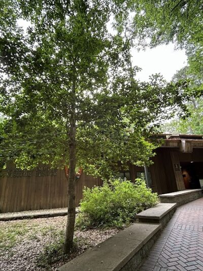 Boardwalk Loop Trail - Hopkins, SC