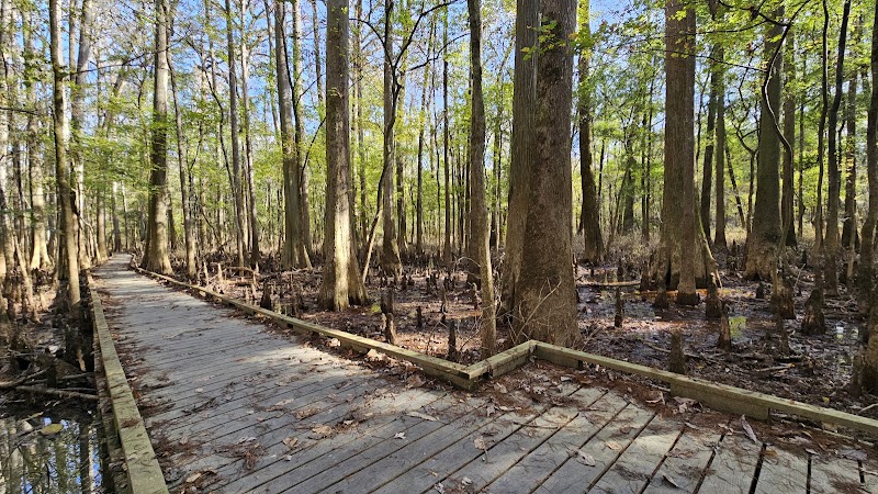 Boardwalk Loop Trail - Hopkins, SC