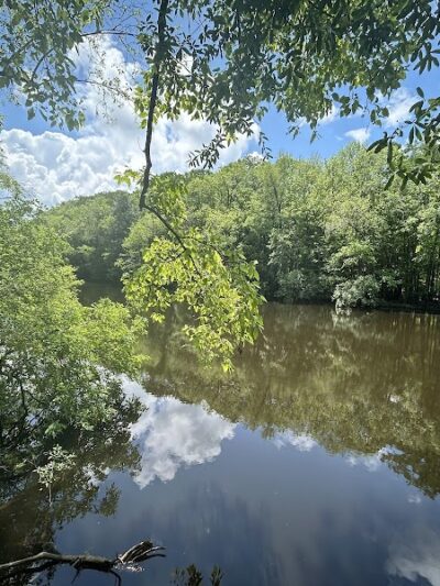 Boardwalk Loop Trail - Hopkins, SC
