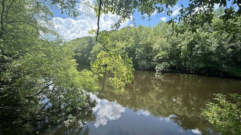 Boardwalk Loop Trail - Hopkins, SC