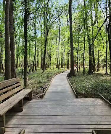 Boardwalk Loop Trail - Hopkins, SC