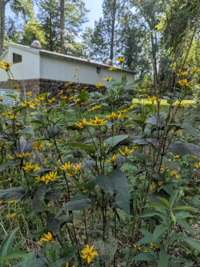 Horsham Dog Park - Horsham, PA
